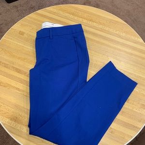 Royal Blue Chinos